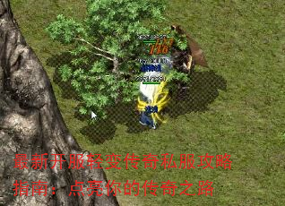 ¿䴫˽ָϣĴ֮·