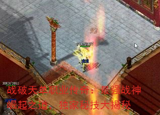 ս쵥ְҵ棺ǿս֮ؼ