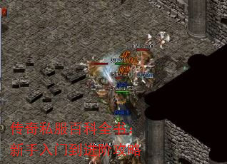 ˽ٿȫ飺ŵ׹