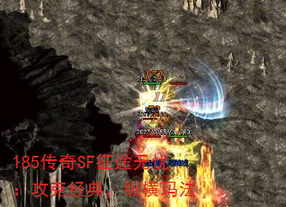 185SF;ǣ˾䣬ݺ귨