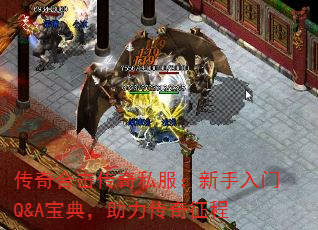 ϻ˽Q&A䣬