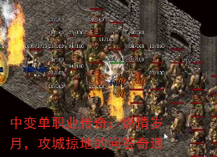 б䵥ְҵ棺ȼ£ӵصʴ
