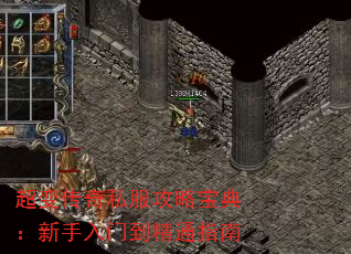 䴫˽Ա䣺ŵָͨ
