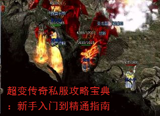 䴫˽Ա䣺ŵָͨ