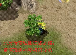 ڤ˽ս֮·ҽؼ޹