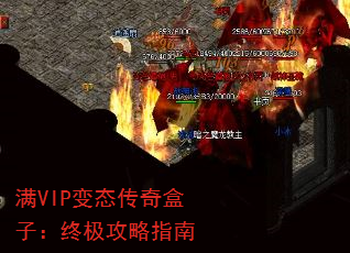 VIP̬ӣռָ