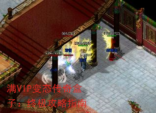 VIP̬ӣռָ