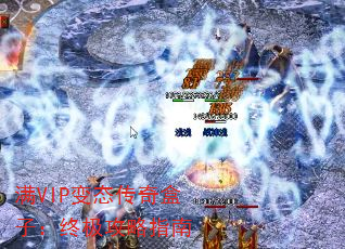 VIP̬ӣռָ