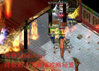 Sandshipռֱ빥