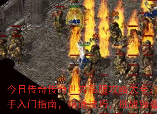 մ洫˽Դȫָϣͨɣսǿ