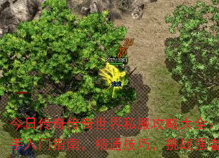 մ洫˽Դȫָϣͨɣսǿ