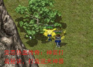 ̬Ѫ棺װؾ