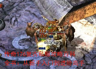 176˽԰ٿȫ飺ŵ׸