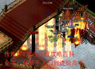 176˽԰ٿȫ飺ŵ׸