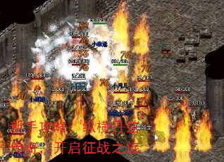 ֹԣݺᵤȴ棬ս֮