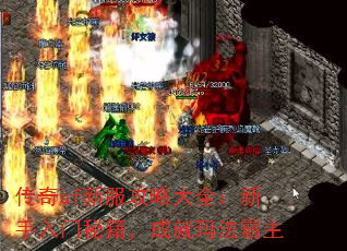 sf·Դȫؼɾ귨