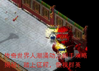 ˳ӿֹԽأ̤̣ȺӢ