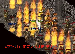 ɻ£֮