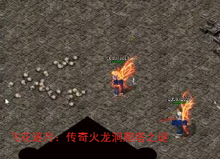 ɻ£֮