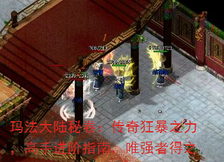 귨½ؾָֽ֮ϣΨǿߵ֮
