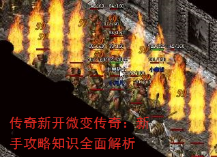 ¿΢䴫棺ֹ֪ʶȫ