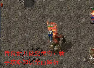 ¿΢䴫棺ֹ֪ʶȫ