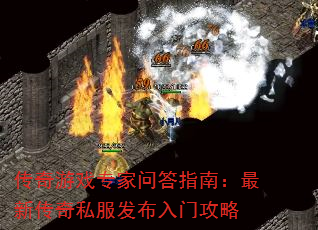 Ϸרʴָϣ´˽Ź
