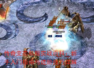 ̬˽ʵսٿƣָ׼