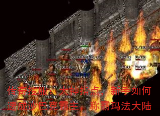 ѷָ㣬ٳɳͿ˰ư귨½