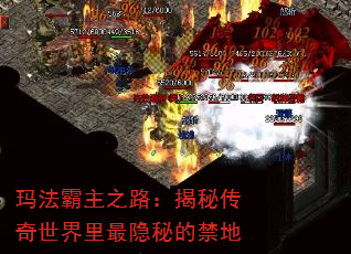 귨֮·شصĽ