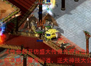 ¿ʢ洫ϻռԣħʵ񼼴󹫿