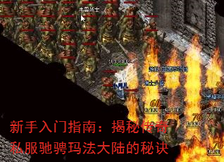 ָϣش˽۳귨½ؾ