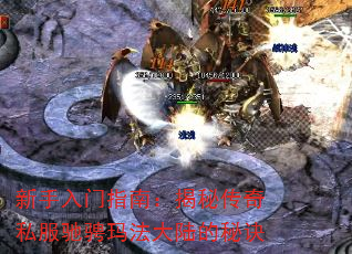 ָϣش˽۳귨½ؾ