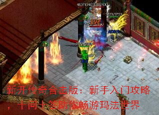 ¿ϻ棺Źԣʮʮ㳩귨