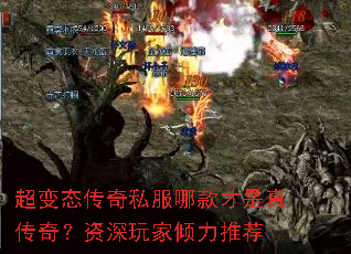 ̬˽Ŀ洫棿Ƽ