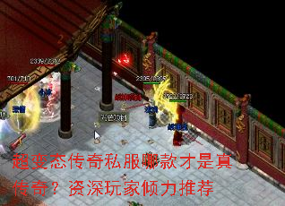 ̬˽Ŀ洫棿Ƽ