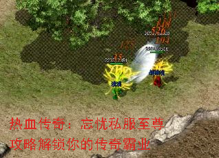 Ѫ棺˽ԽĴҵ