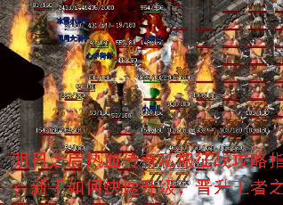 ֮Ѫ˽սָϣο֮·