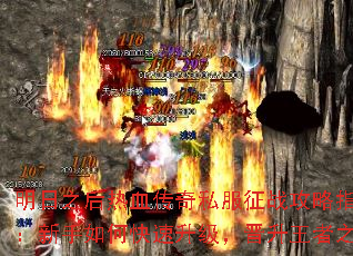 ֮Ѫ˽սָϣο֮·