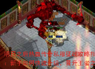 ֮Ѫ˽սָϣο֮·