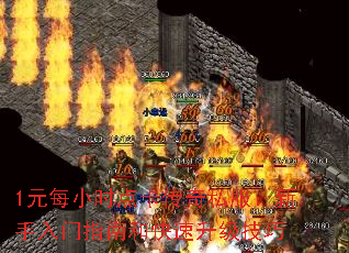 1ԪÿСʱ㿨˽ָϺͿ