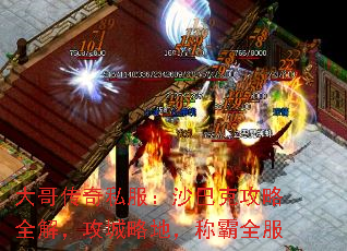 紫˽ɳͿ˹ȫ⣬Եأưȫ