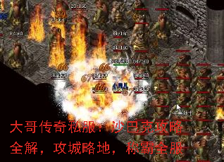 紫˽ɳͿ˹ȫ⣬Եأưȫ
