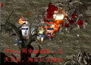 ̨ȫ¶̬£淨Ϯ