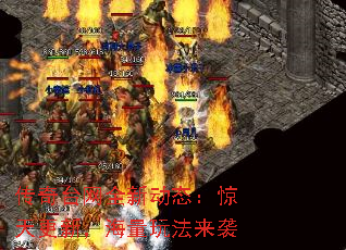 ̨ȫ¶̬£淨Ϯ