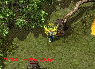 ֿ𼶹