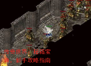 磺ؼ䣬ָֹ