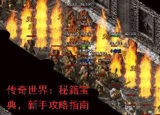 磺ؼ䣬ָֹ