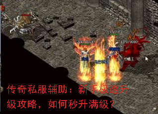 ˽ּԣ