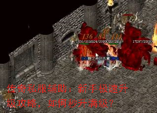 ˽ּԣ